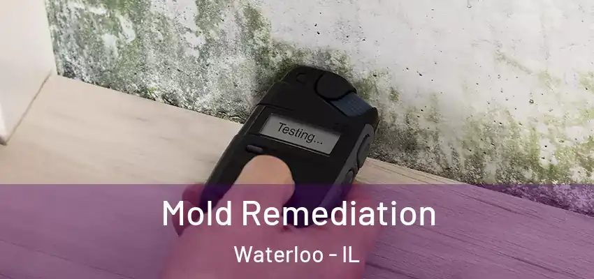 Mold Remediation Waterloo - IL