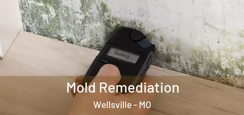  Mold Remediation Wellsville - MO