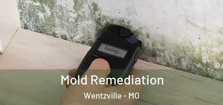 Mold Remediation Wentzville - MO