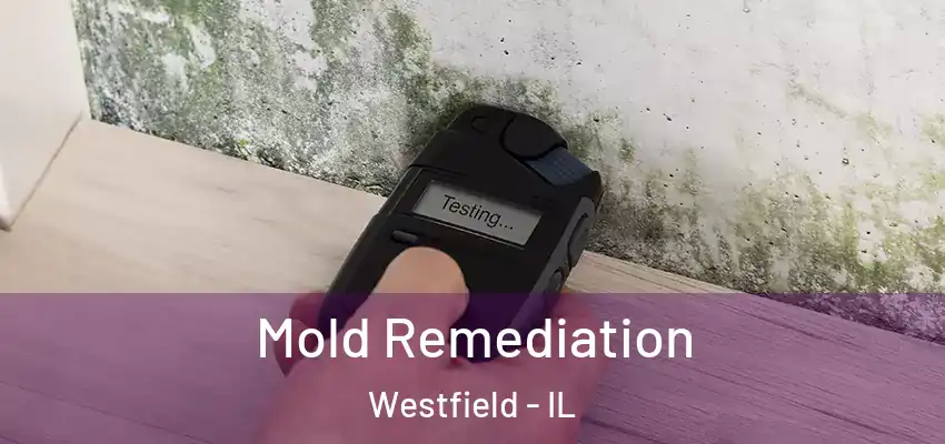  Mold Remediation Westfield - IL