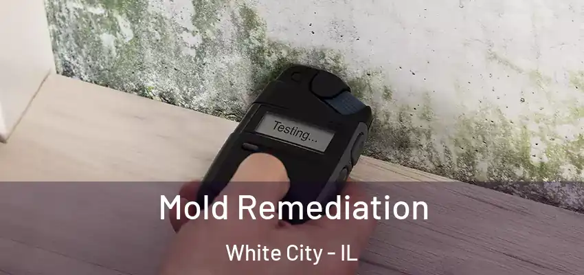  Mold Remediation White City - IL