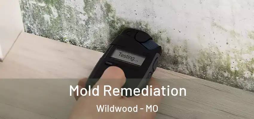  Mold Remediation Wildwood - MO