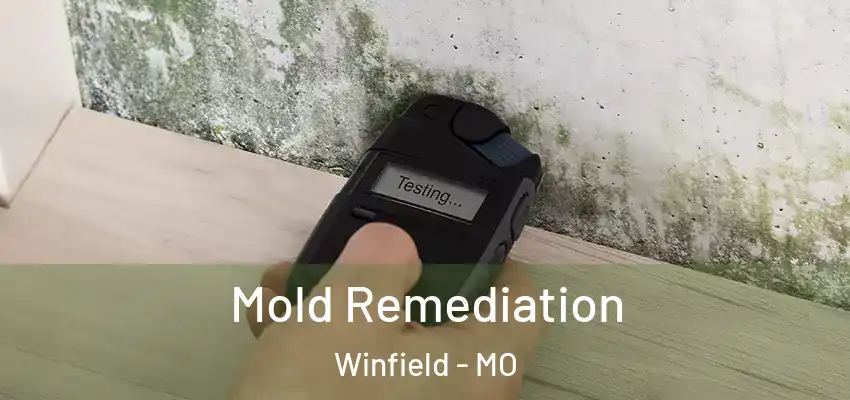 Mold Remediation Winfield - MO
