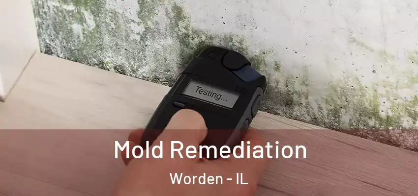  Mold Remediation Worden - IL