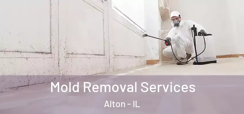  Mold Removal Services Alton - IL