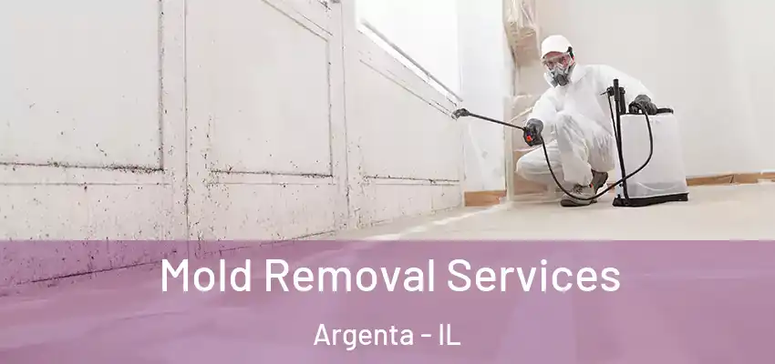 Mold Removal Services Argenta - IL