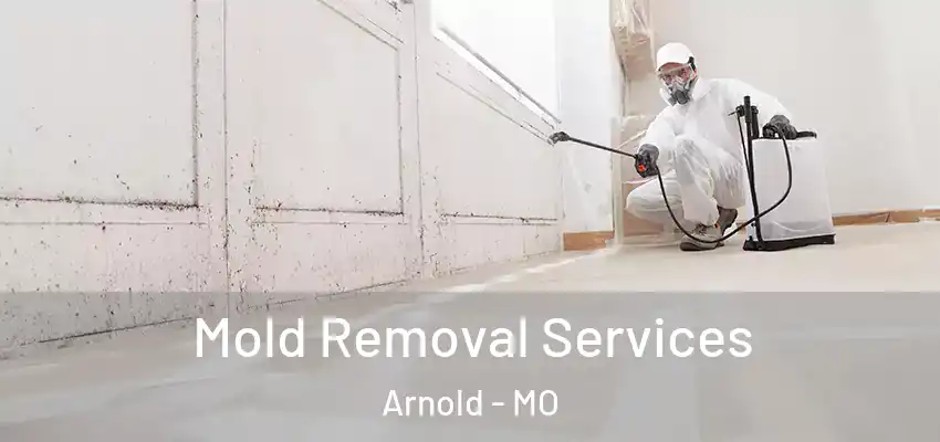  Mold Removal Services Arnold - MO