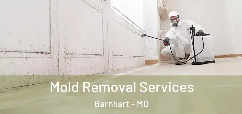  Mold Removal Services Barnhart - MO