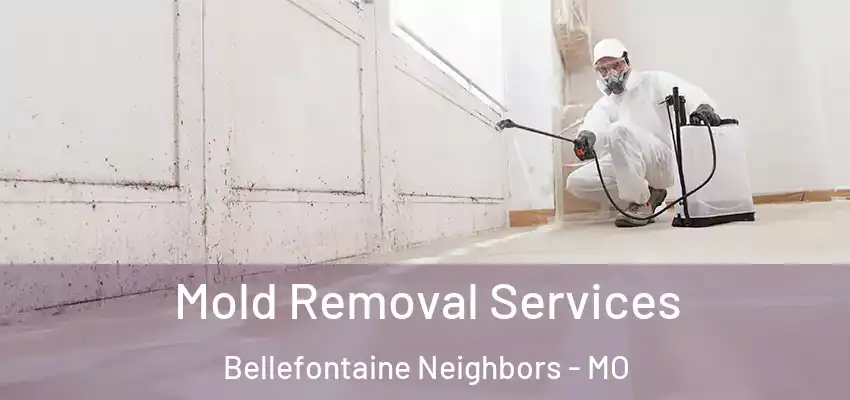  Mold Removal Services Bellefontaine Neighbors - MO