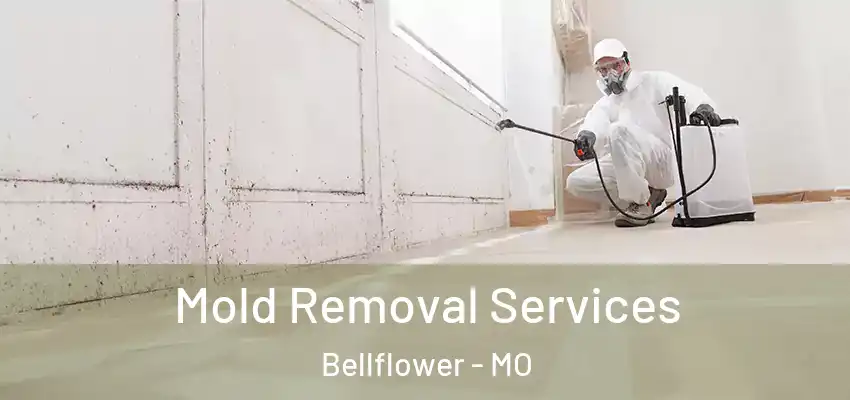  Mold Removal Services Bellflower - MO