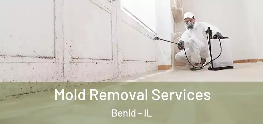  Mold Removal Services Benld - IL