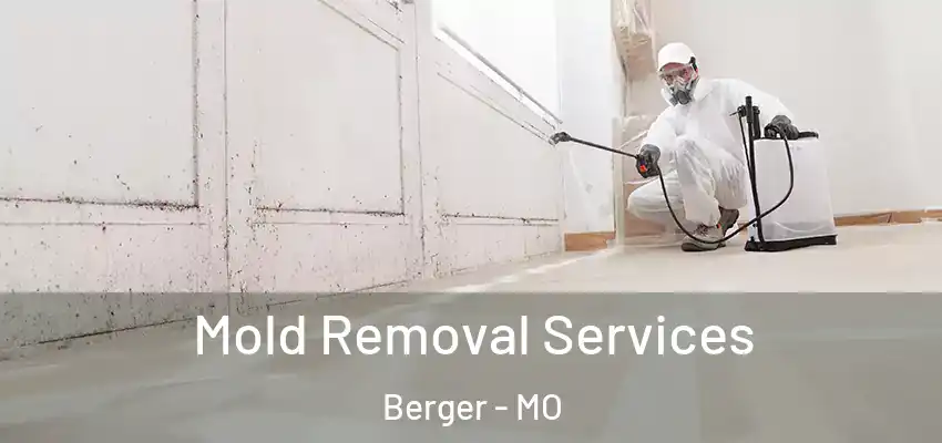  Mold Removal Services Berger - MO