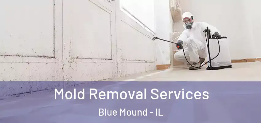  Mold Removal Services Blue Mound - IL