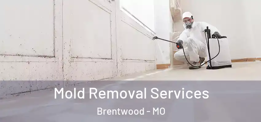  Mold Removal Services Brentwood - MO