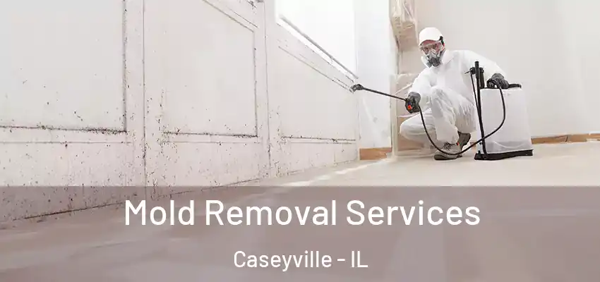  Mold Removal Services Caseyville - IL