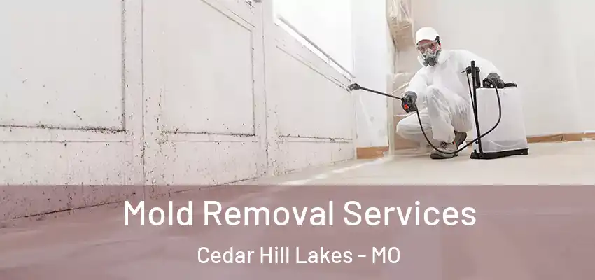  Mold Removal Services Cedar Hill Lakes - MO