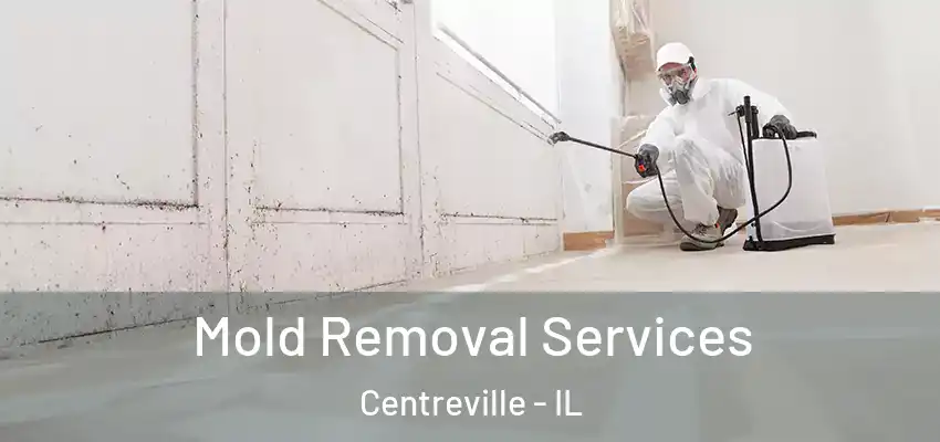  Mold Removal Services Centreville - IL