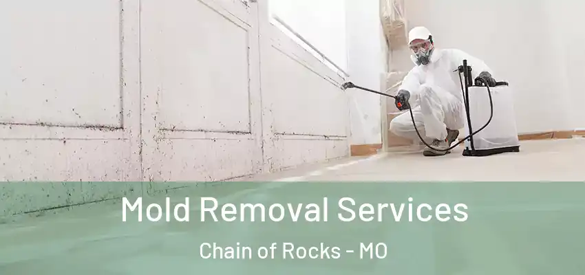  Mold Removal Services Chain of Rocks - MO