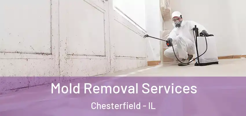  Mold Removal Services Chesterfield - IL