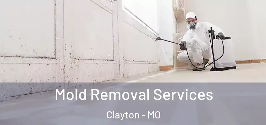  Mold Removal Services Clayton - MO