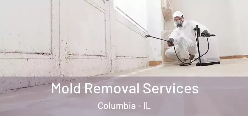  Mold Removal Services Columbia - IL