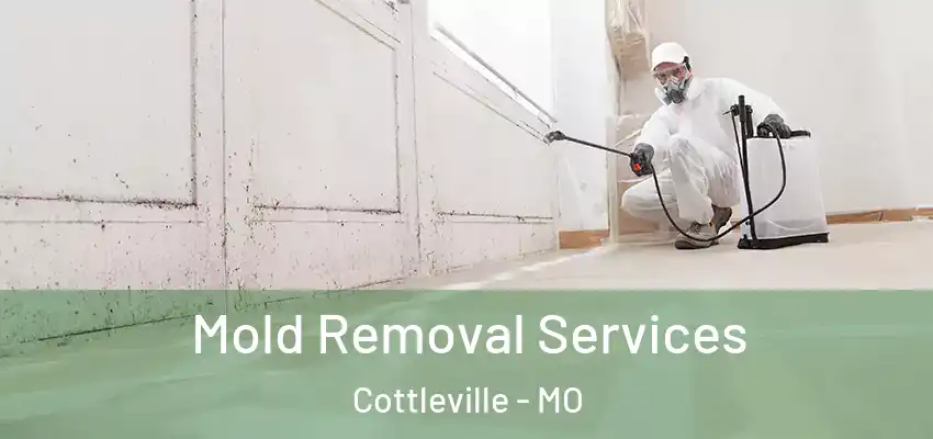  Mold Removal Services Cottleville - MO