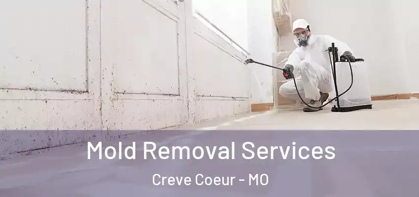  Mold Removal Services Creve Coeur - MO