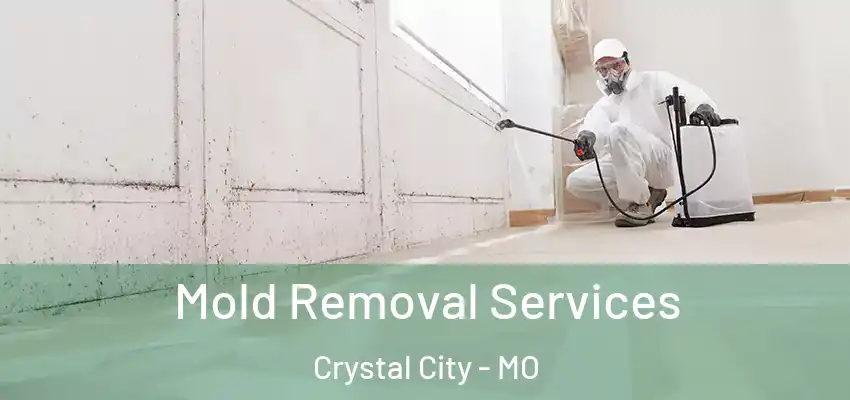  Mold Removal Services Crystal City - MO