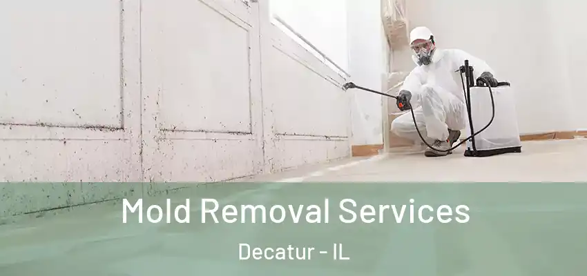  Mold Removal Services Decatur - IL