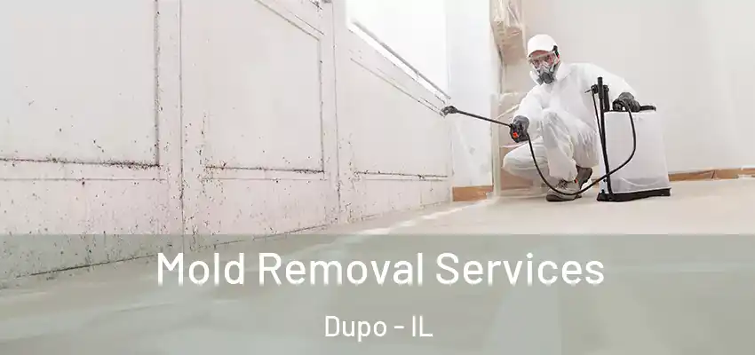  Mold Removal Services Dupo - IL