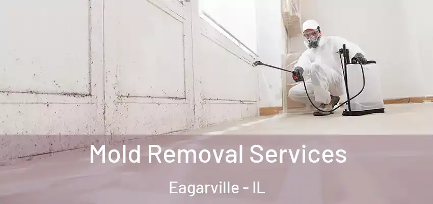  Mold Removal Services Eagarville - IL