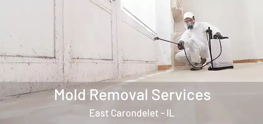  Mold Removal Services East Carondelet - IL