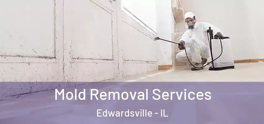  Mold Removal Services Edwardsville - IL