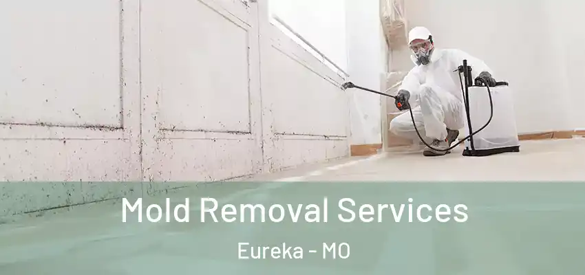 Mold Removal Services Eureka - MO