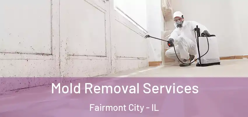  Mold Removal Services Fairmont City - IL