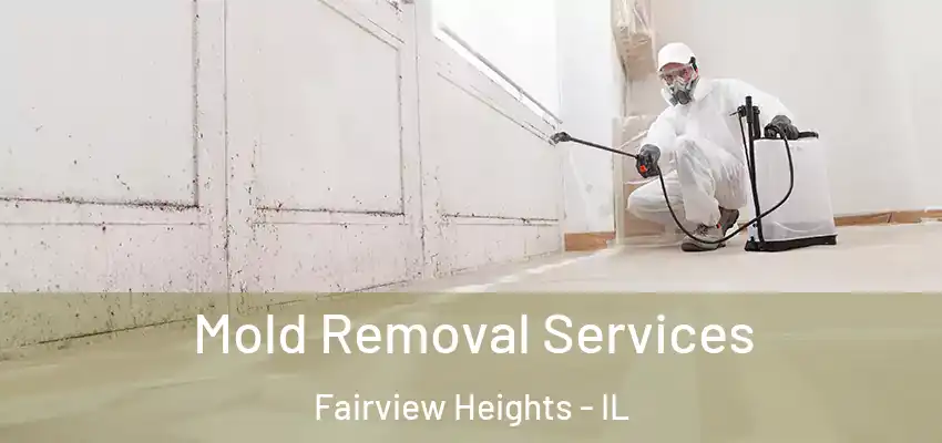  Mold Removal Services Fairview Heights - IL