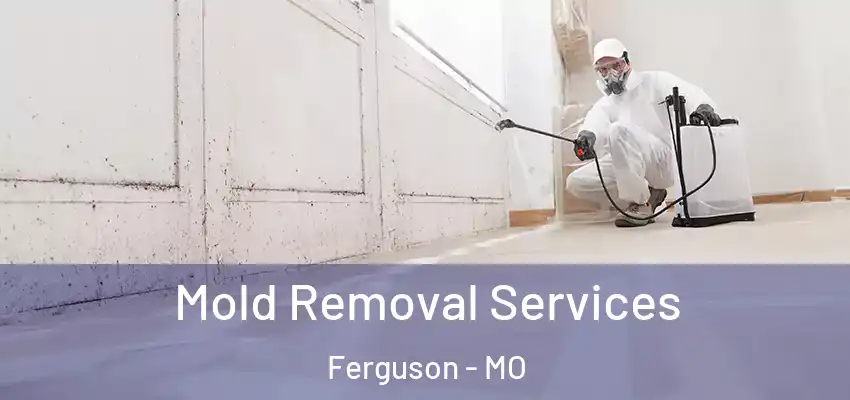  Mold Removal Services Ferguson - MO