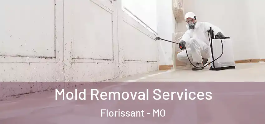  Mold Removal Services Florissant - MO