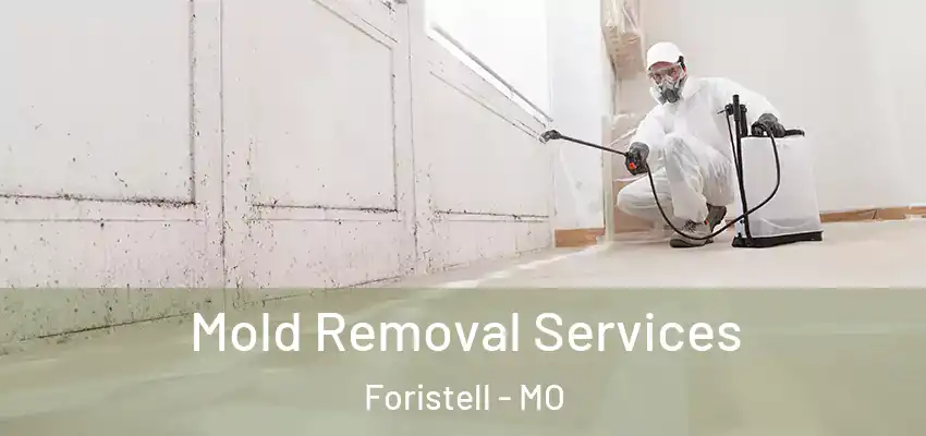 Mold Removal Services Foristell - MO