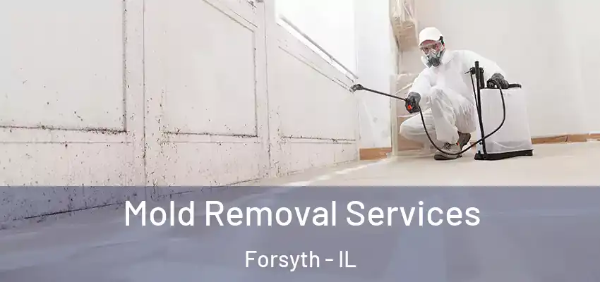 Mold Removal Services Forsyth - IL