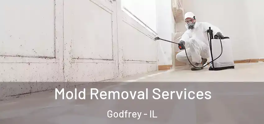 Mold Removal Services Godfrey - IL