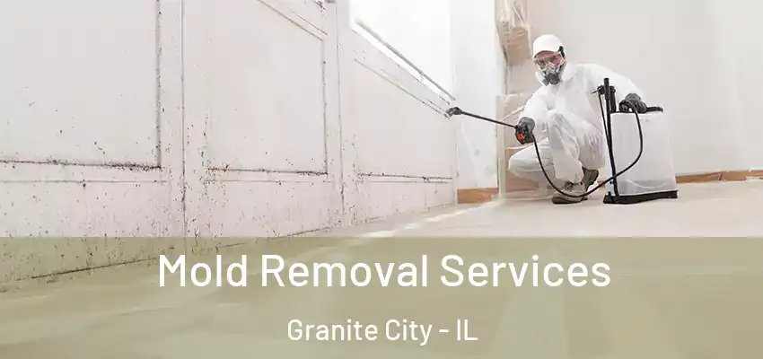  Mold Removal Services Granite City - IL