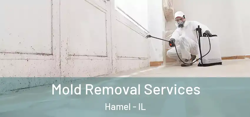  Mold Removal Services Hamel - IL