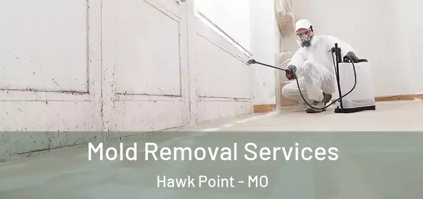  Mold Removal Services Hawk Point - MO