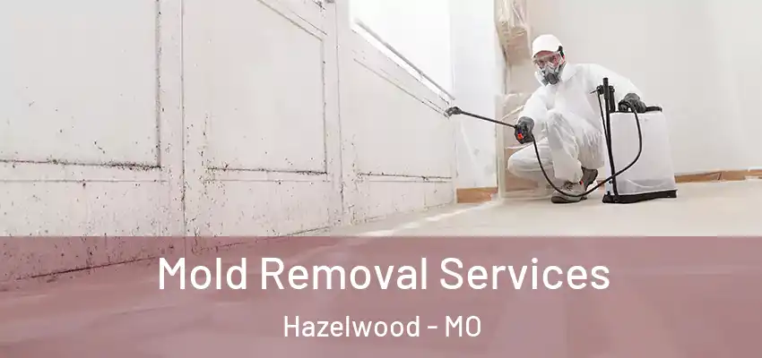  Mold Removal Services Hazelwood - MO