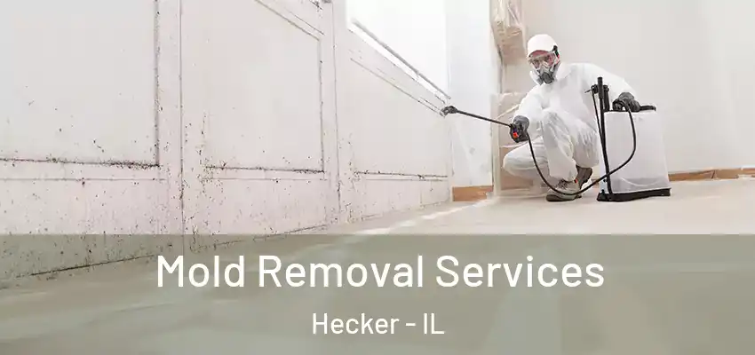  Mold Removal Services Hecker - IL