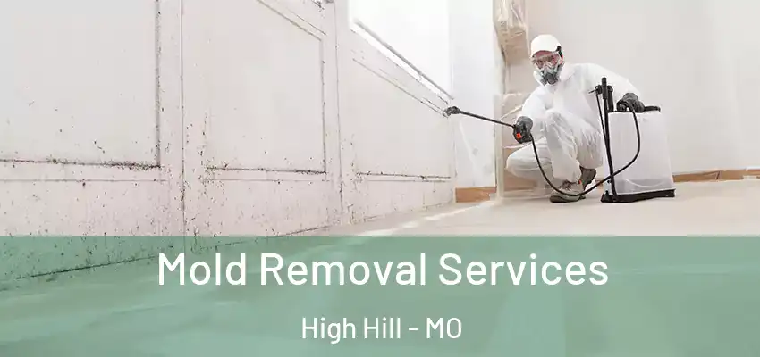 Mold Removal Services High Hill - MO