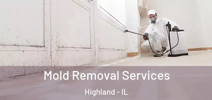  Mold Removal Services Highland - IL