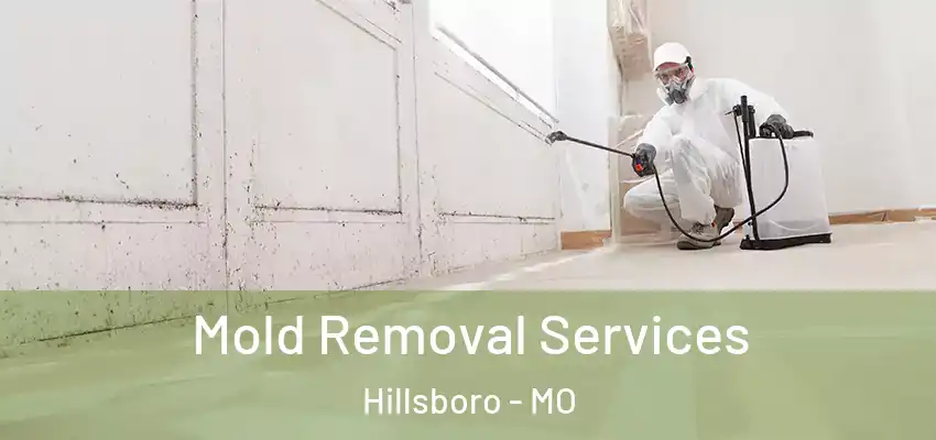  Mold Removal Services Hillsboro - MO