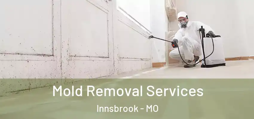  Mold Removal Services Innsbrook - MO